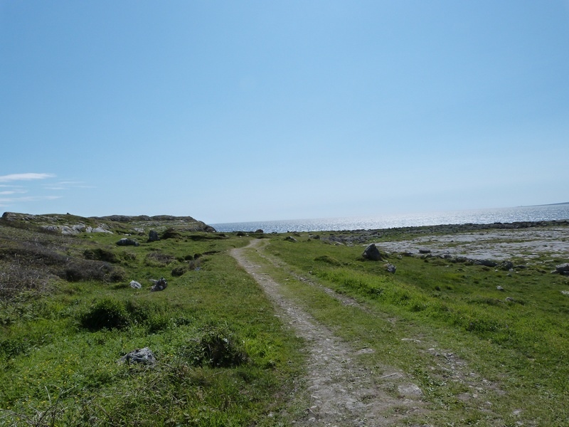 plateau de Burren