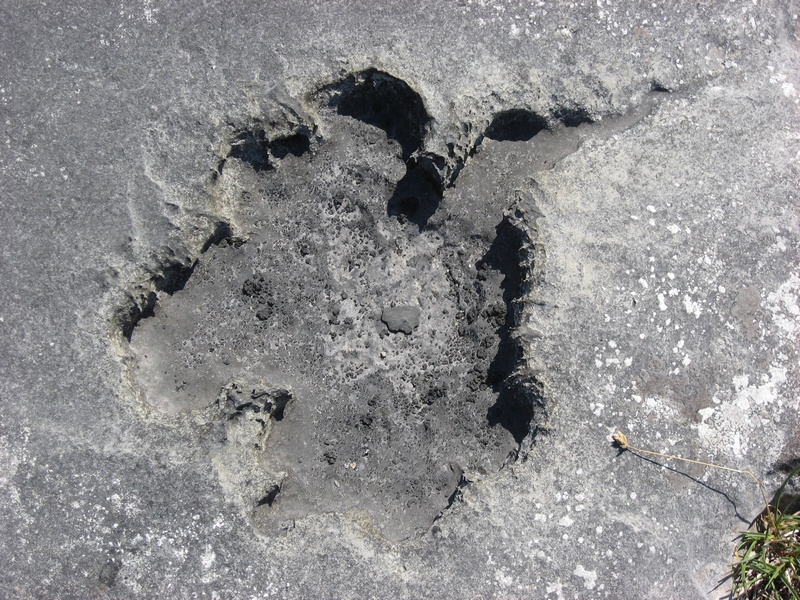 plateau de Burren