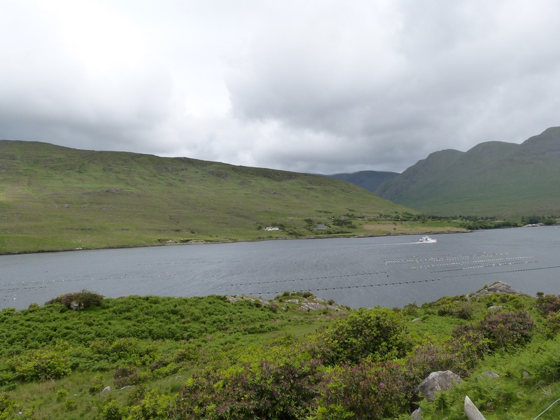 Connemara