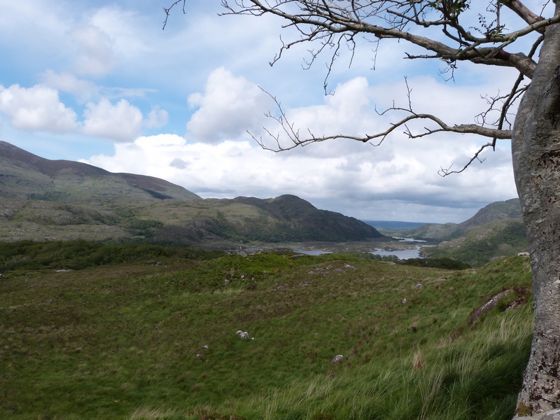 Anneau du Kerry