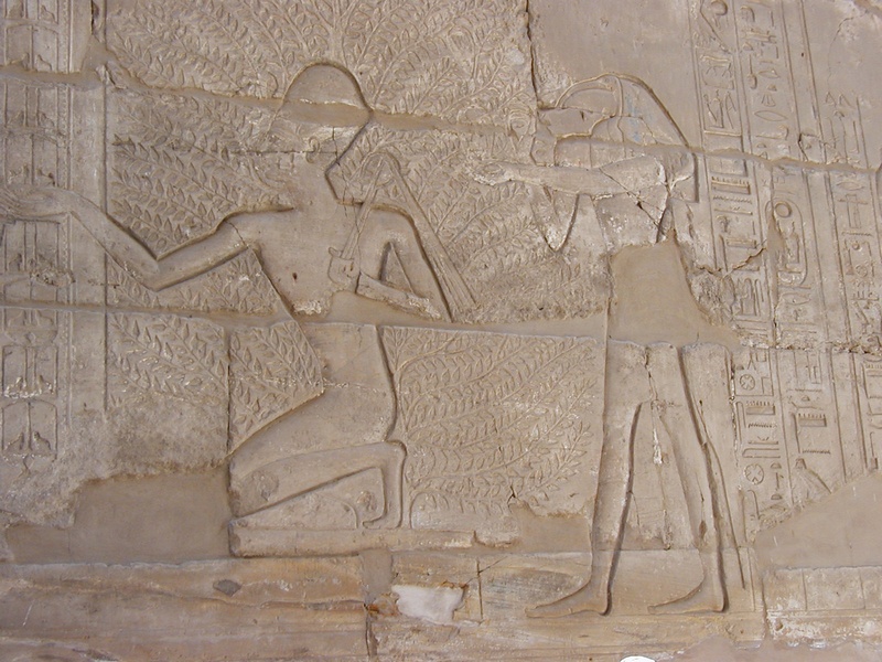 Les temples de LOUXOR & KARNAK