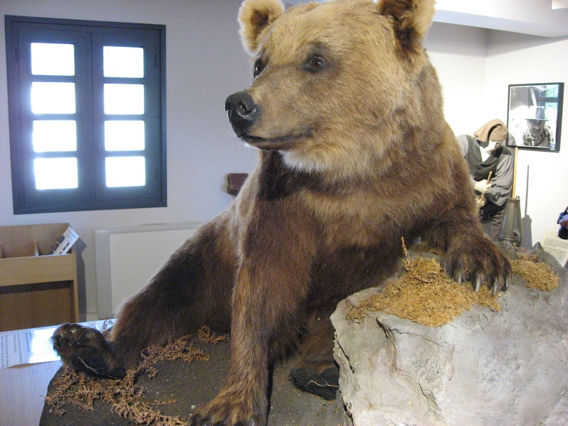 maison de l'ours à St Lary