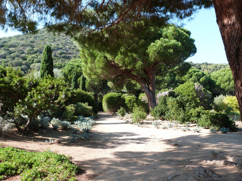 Parc de Saleccia