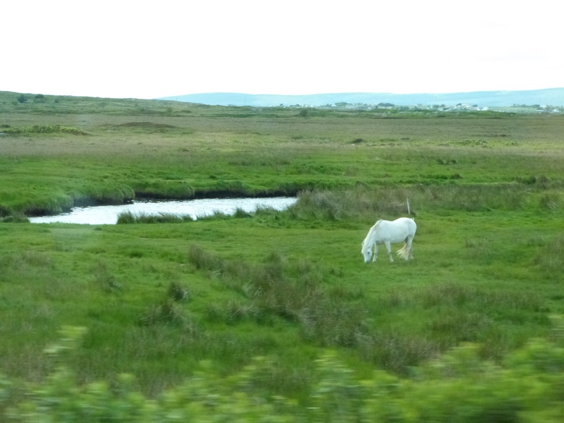 sud du Connemara