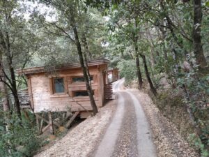 Les cabanes dans les bois - Villalier