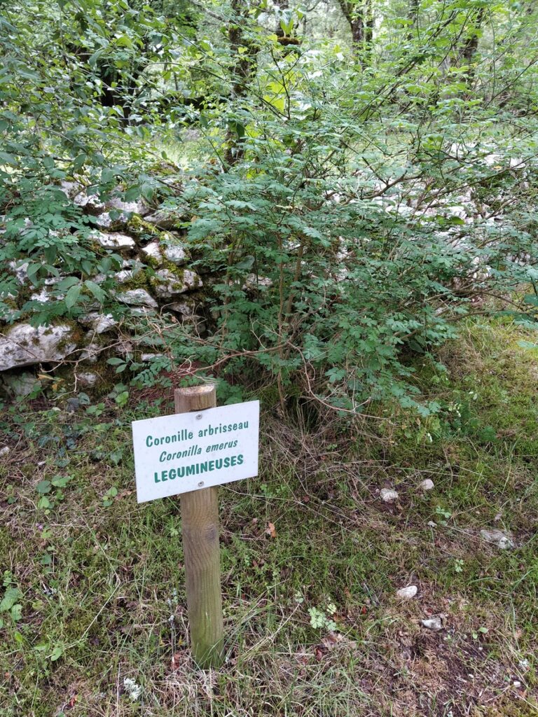 Sentier botanique de Limogne