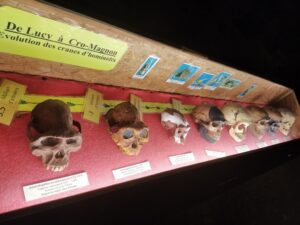 Reignac - Musée de la préhistoire